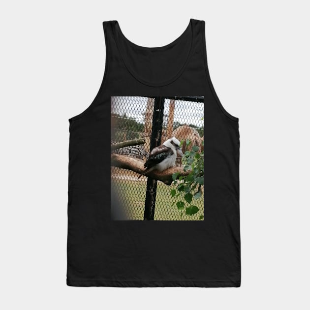 Kookaburra Tank Top by DesignsBySaxton